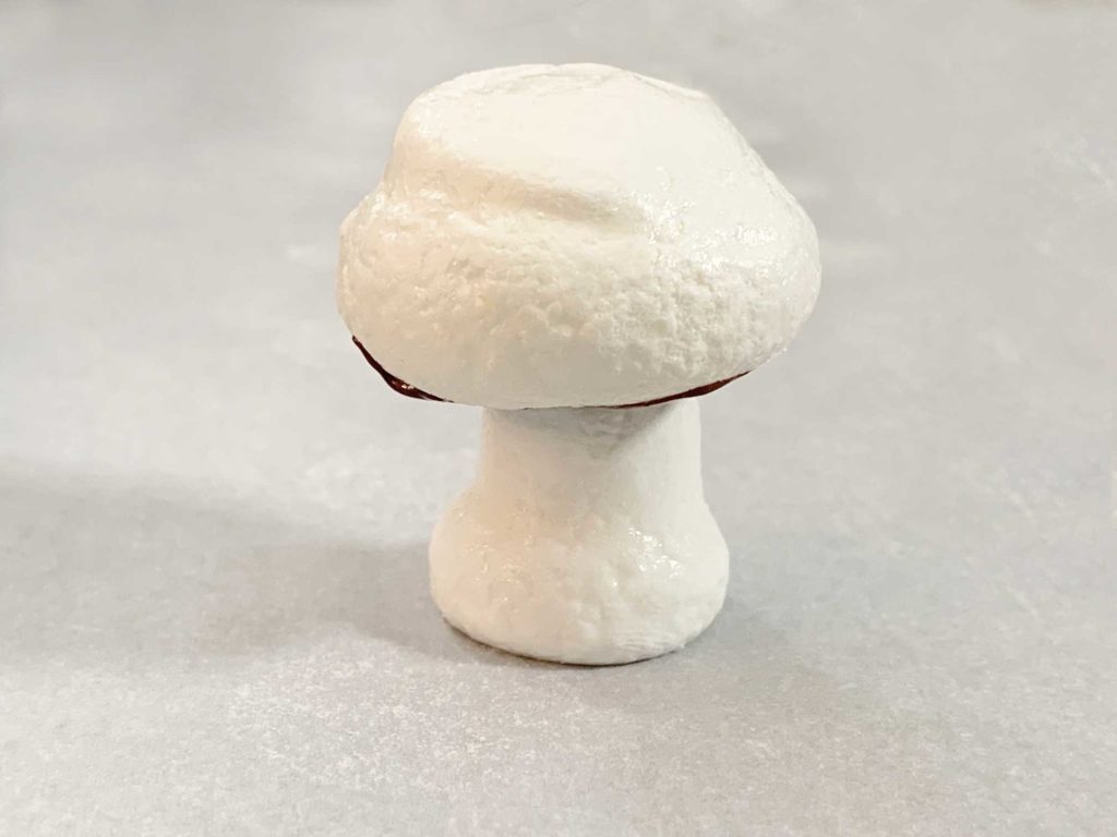 a close up shot of a single meringue mushroom