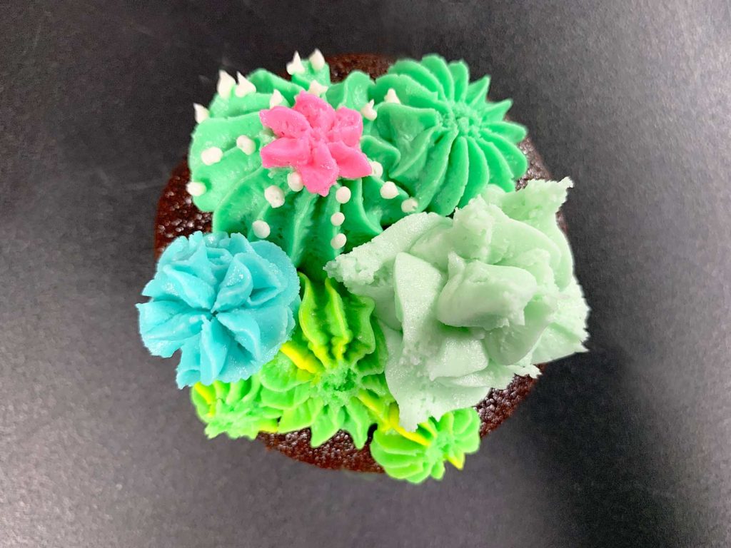 close up detail of a cupcake with buttercream cacti and succulents