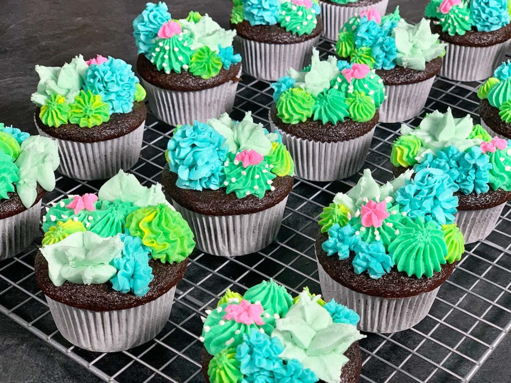 sideview of cupcakes with buttercream cacti and succulents