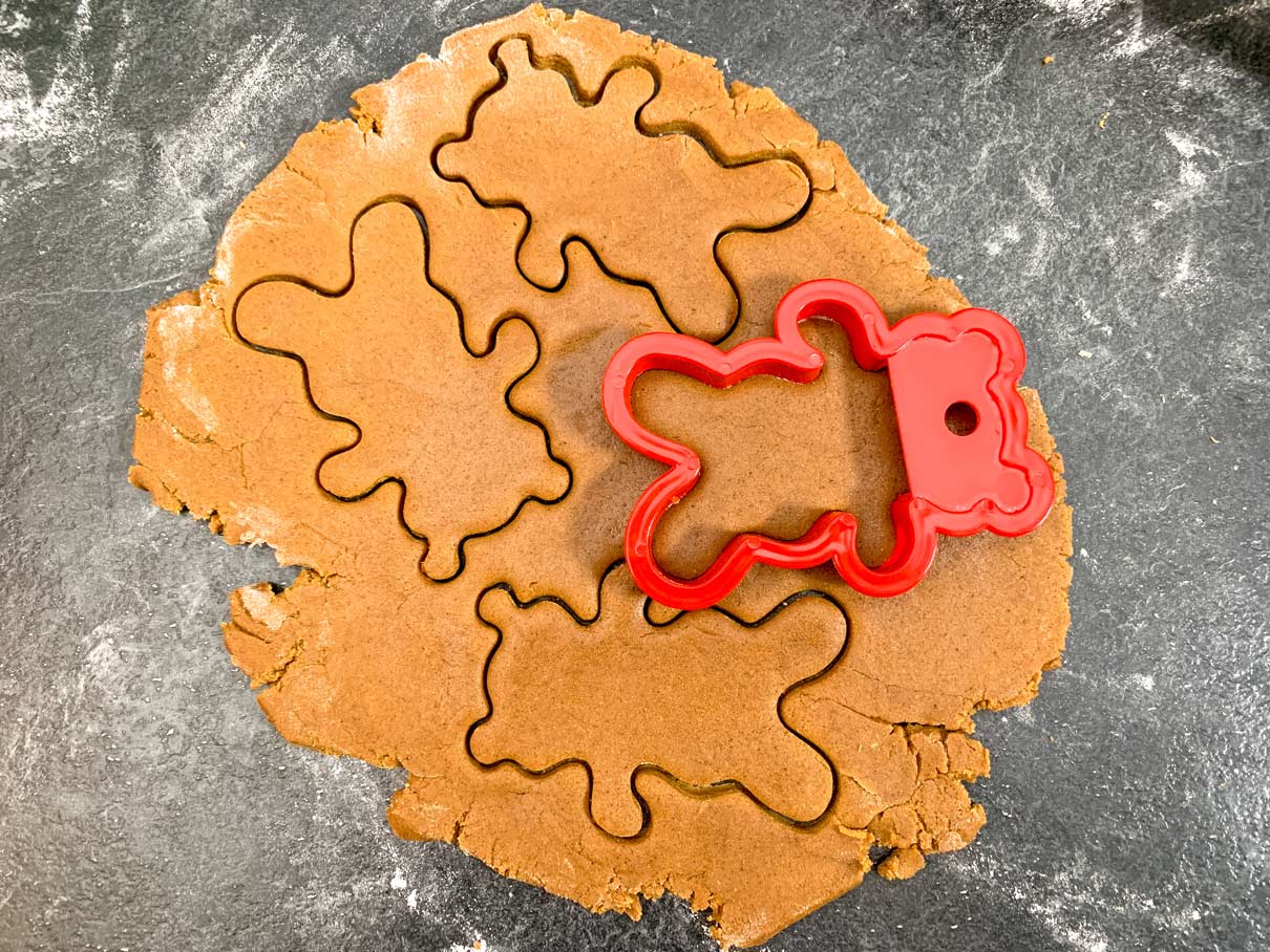rolled out gingerbread dough with teddy bear shapes cut out of it