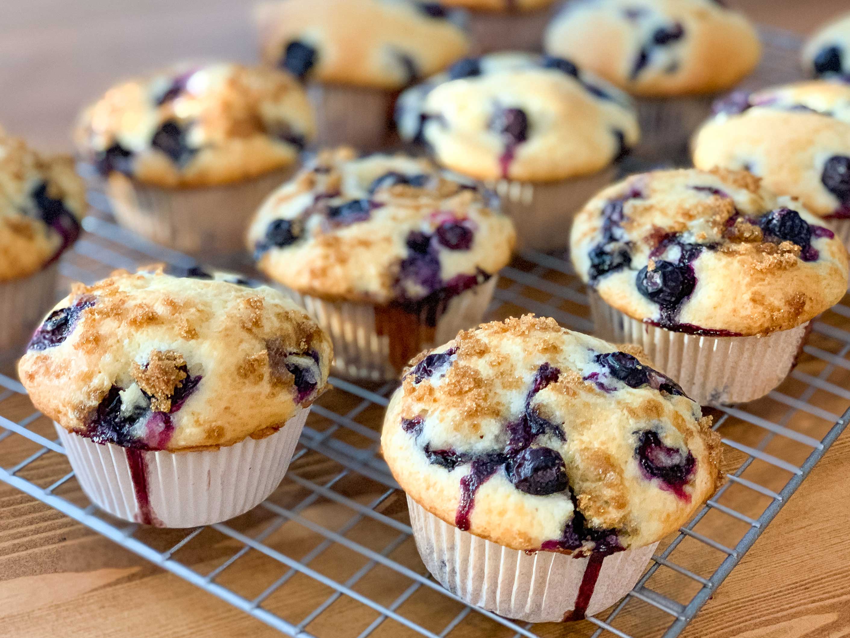 side angle of fresh baked blueberry muffins, cooling on a wire rack