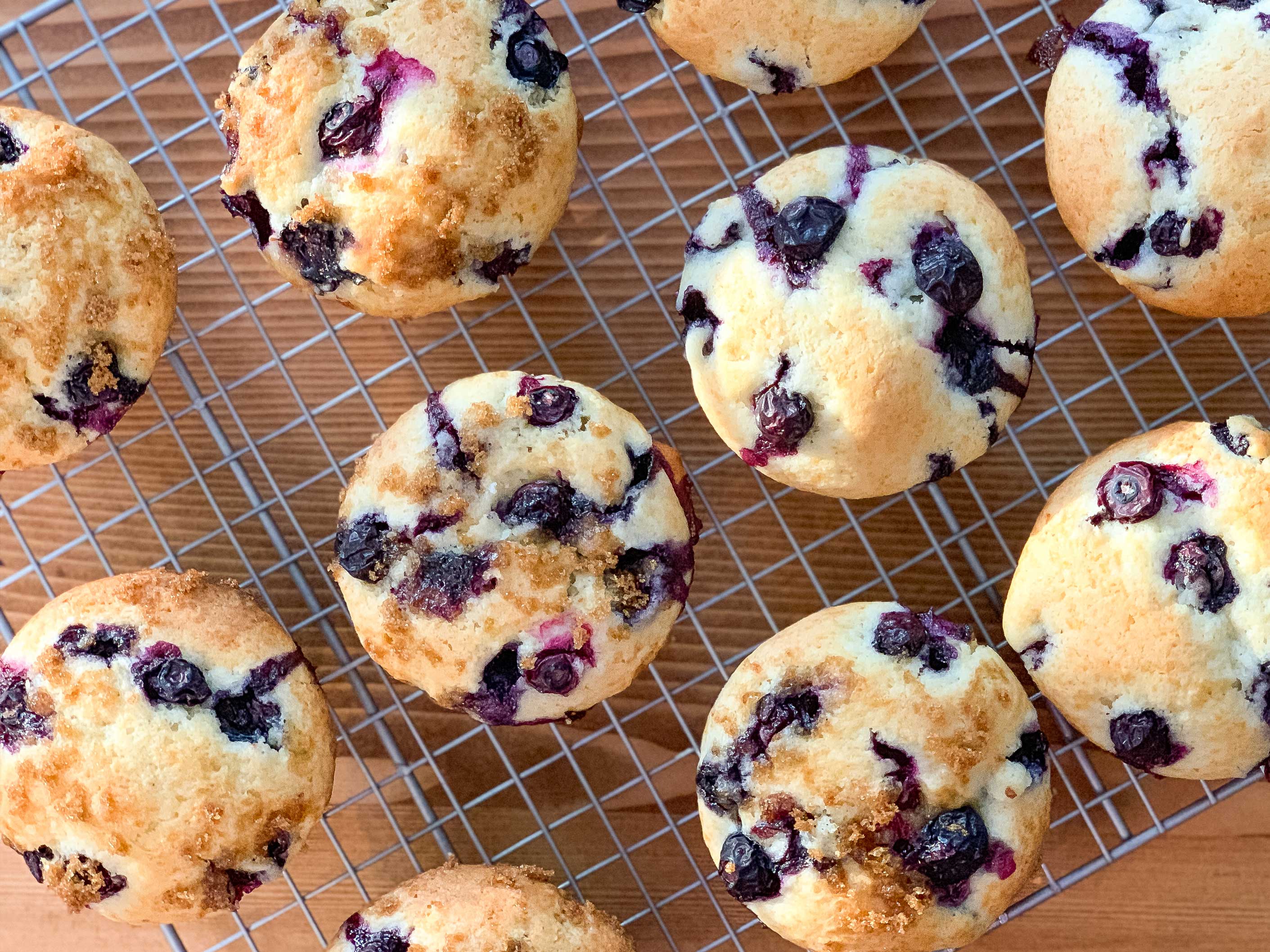 overhead angle of fresh baked blueberry muffins, cooling on a wire rack