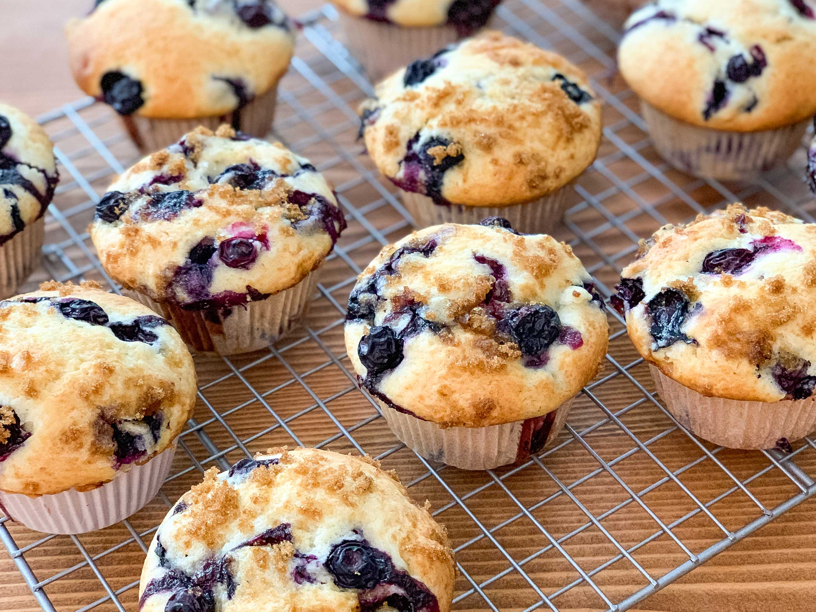 side angle of fresh baked blueberry muffins, cooling on a wire rack