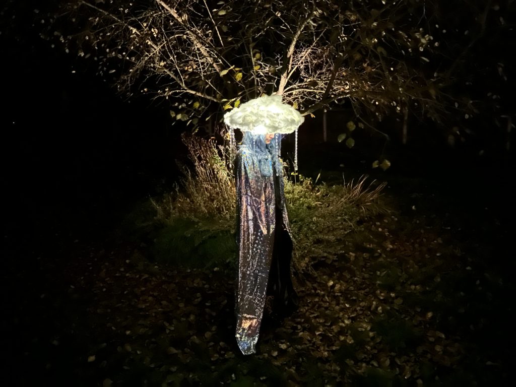 Me standing under a tree at night wearing the lit up cloud hat, a blue wig, and a silver cloak.