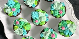 overhead view of cupcakes with buttercream cacti and succulents